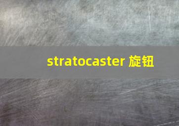 stratocaster 旋钮